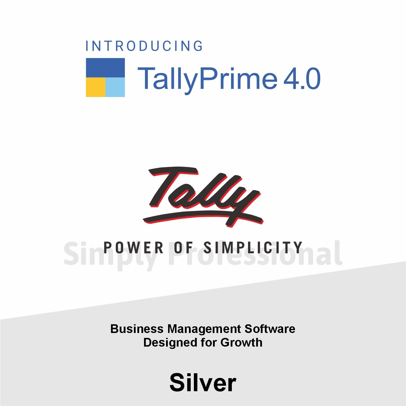 TallyPrime — Silver