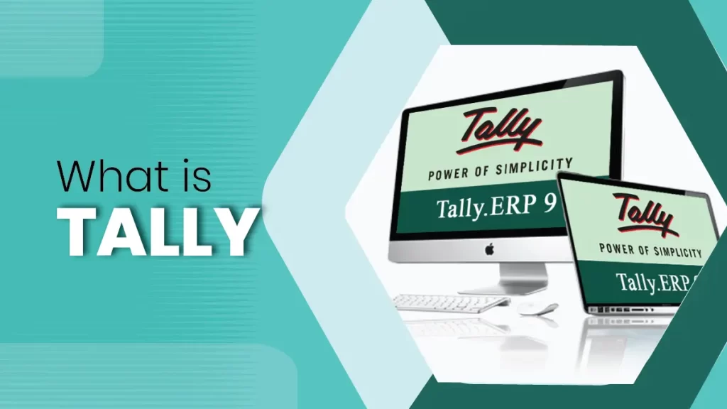 Tally Software Interface